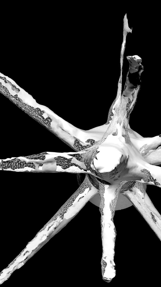 détail des images présentées sur écran, une sorte de grotte aux couleurs lumineuses est représentée en 3D, il s'agit de l'intérieur de la sculpture