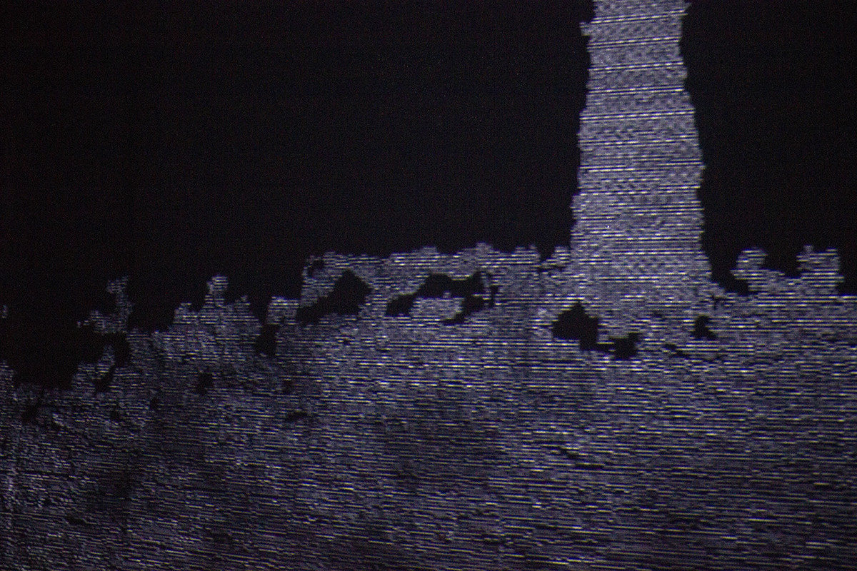 détail de la vidéoprojection, on y voit des formes organiques et géométriques 3D qui semblent former la silhouette d'un arbre