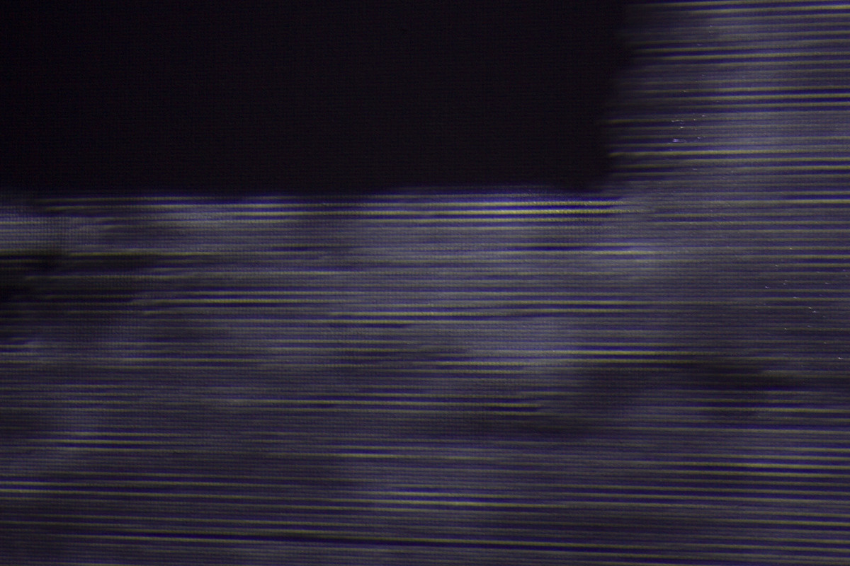 détail de la vidéoprojection, on y voit des formes organiques et géométriques 3D qui semblent former la silhouette d'un arbre