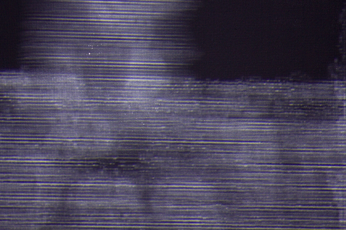 détail de la vidéoprojection, on y voit des formes organiques et géométriques 3D qui semblent former la silhouette d'un arbre