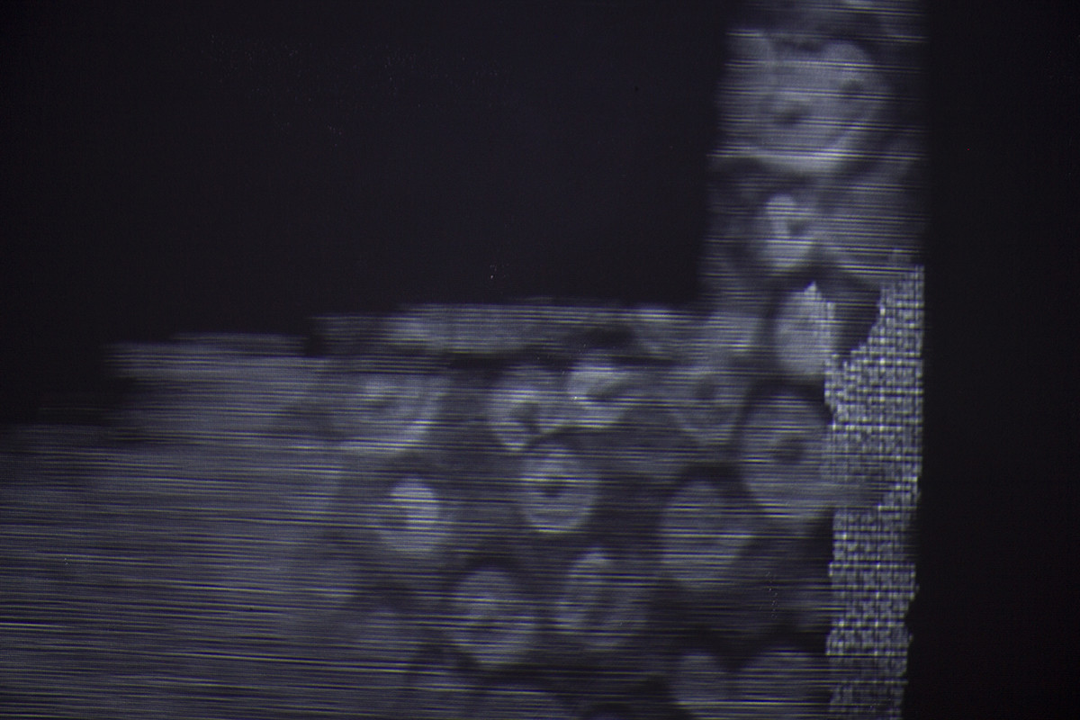 détail de la vidéoprojection, on y voit des formes organiques et géométriques 3D qui semblent former la silhouette d'un arbre