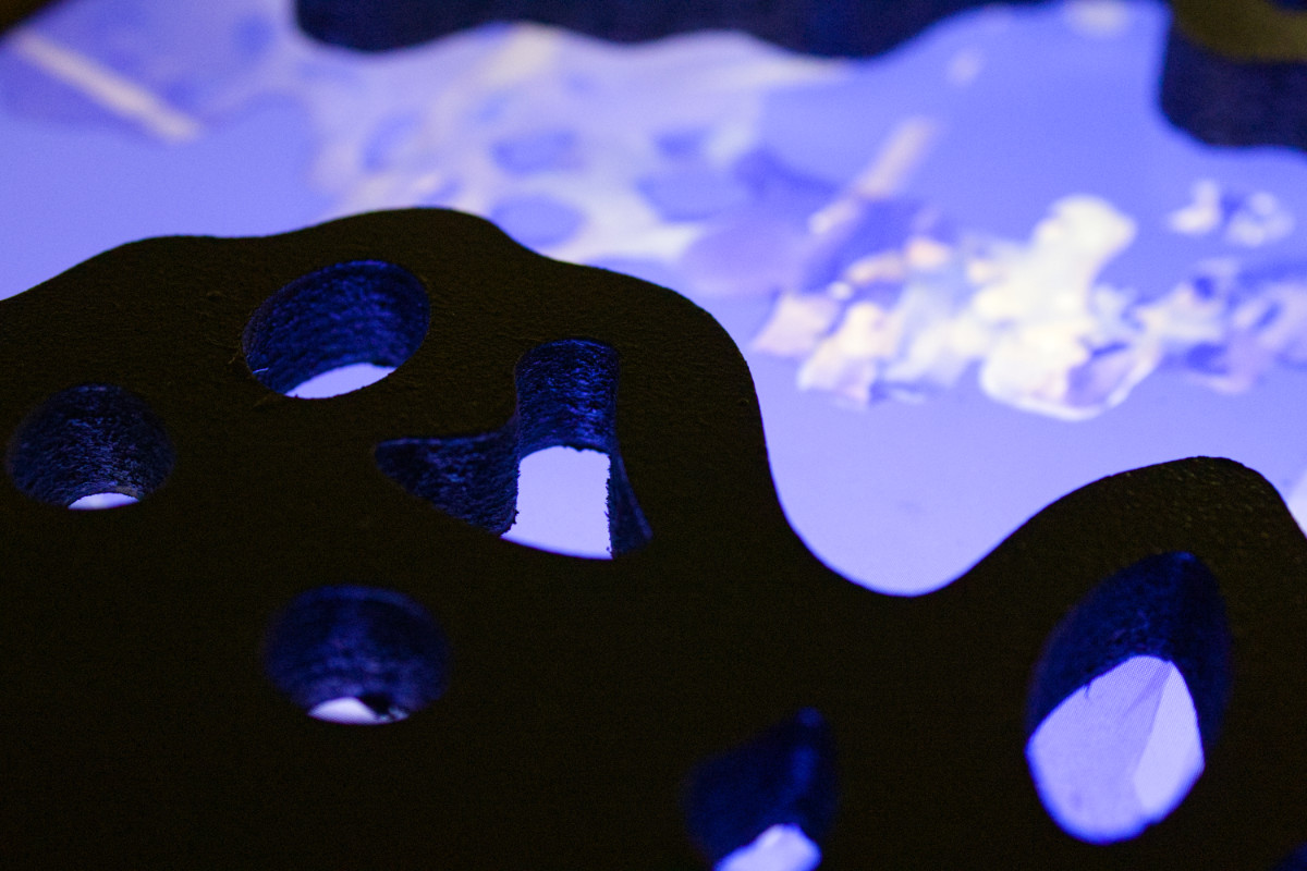 images 3D d'un objet, l'image ne montre que la structure de l'objet et ressemble à une gigantesque architecure brune
