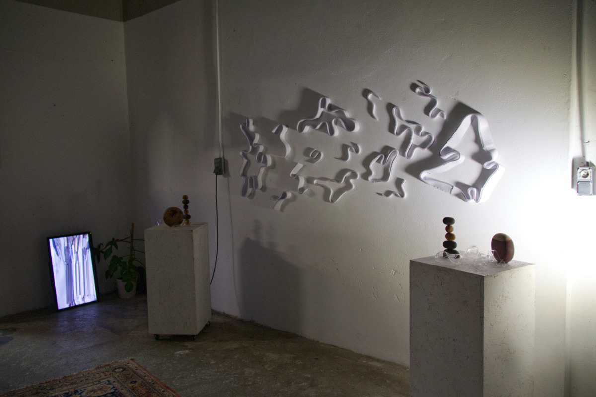 images 3D d'un objet, l'image ne montre que la structure de l'objet et ressemble à une gigantesque architecure brune